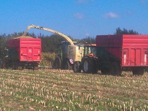 Travaux agricoles ensileuse